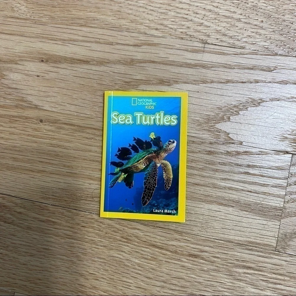 American Girl Doll Sized National Geographic Sea Turtles Book